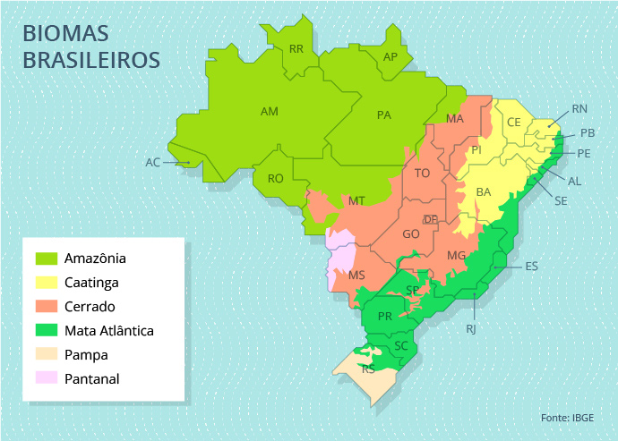 Meio Ambiente - Geral - Bioma - Biomas do Brasil - Amazônia - Caatinga - Cerrado - Mata Atlântica - Pampa - pantanal