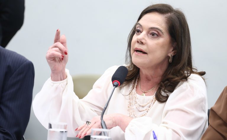 Abertura da Semana da Criança. Dep. Soraya Santos (PL-RJ)