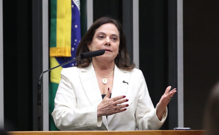 Discussão e votação de propostas legislativas. Dep. Soraya Santos (PL-RJ)