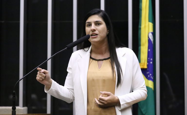 Discussão e votação de propostas legislativas. Dep. Chris Tonietto (PL - RJ)