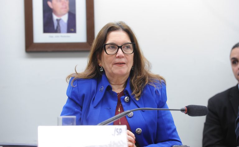 Audiência Pública - Aplicação das penas para líderes e membros de organizações criminosas. Dep. Bia Kicis (PL - DF)