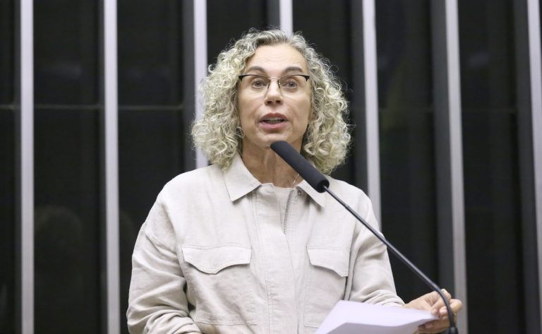 Discussão e votação de propostas legislativas. Dep. Ana Paula Lima (PT - SC)