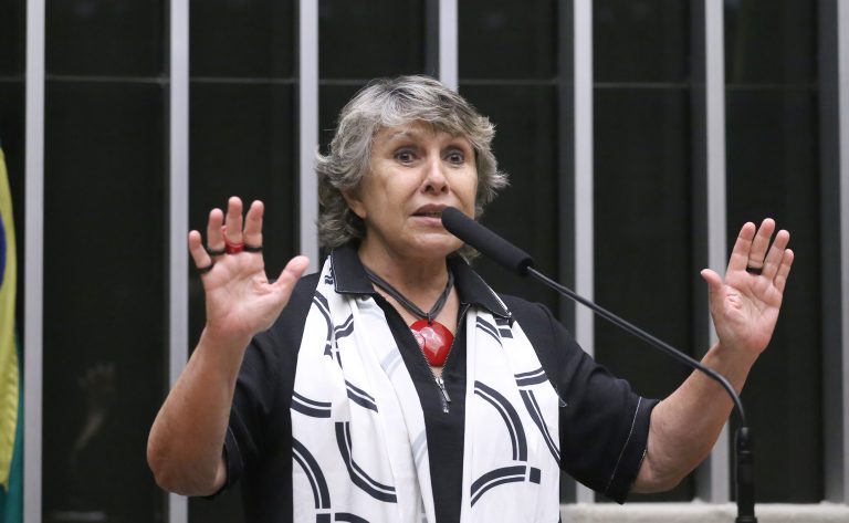 Discussão e votação de propostas legislativas. Dep. Erika Kokay (PT - DF)