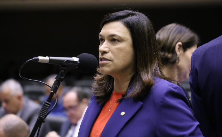 Discussão e votação de propostas legislativas. Dep. Maria Rosas (REPUBLICANOS - SP)