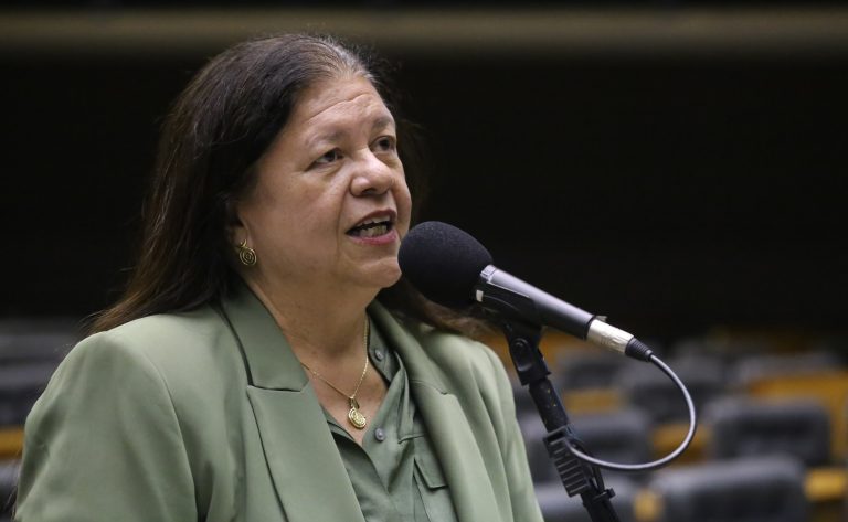 Deputada Laura Carneiro (PSD-RJ) fala no Plenário da Câmara dos Deputados