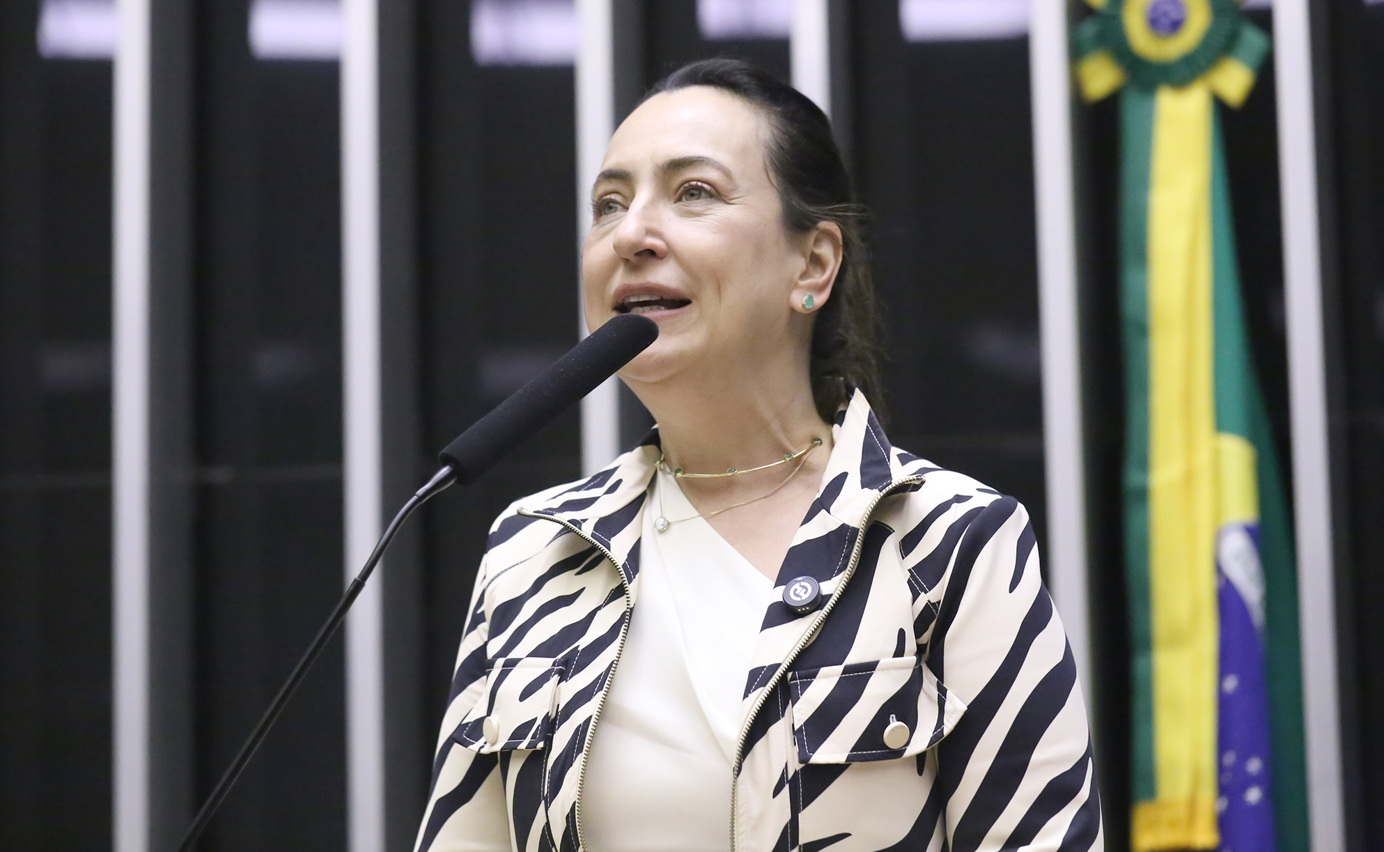 Deputada Rosangela Moro fala ao microfone