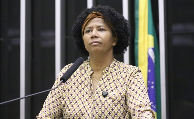 Discussão e votação de propostas legislativas. Dep. Silvia Cristina (PP-RO)