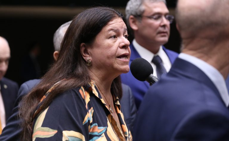 Discussão e votação de propostas legislativas. Dep. Laura Carneiro (PSD-RJ)