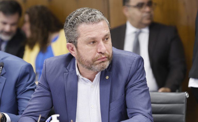 Reunião de Líderes. Dep. Fausto Pinato (PP - SP)