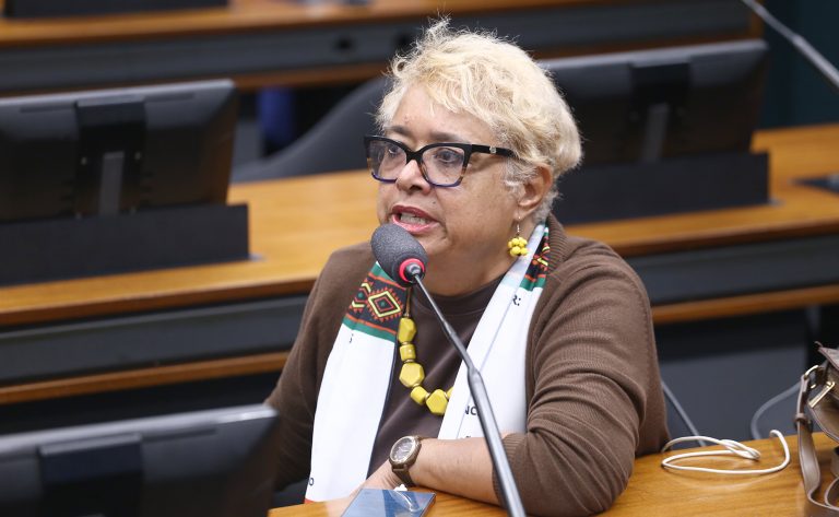 Discussão e votação do parecer do relator. Dep. Enfermeira Rejane (PCdoB - RJ)