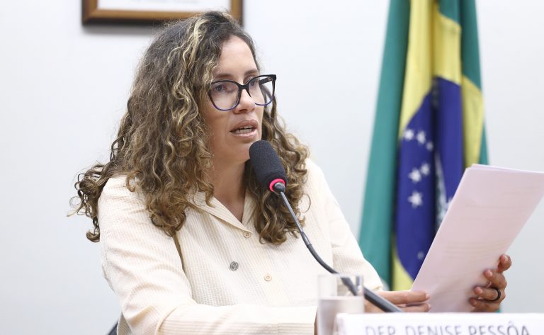 Reunião de Instalação e Eleição. Dep. Denise Pessôa (PT-RS)