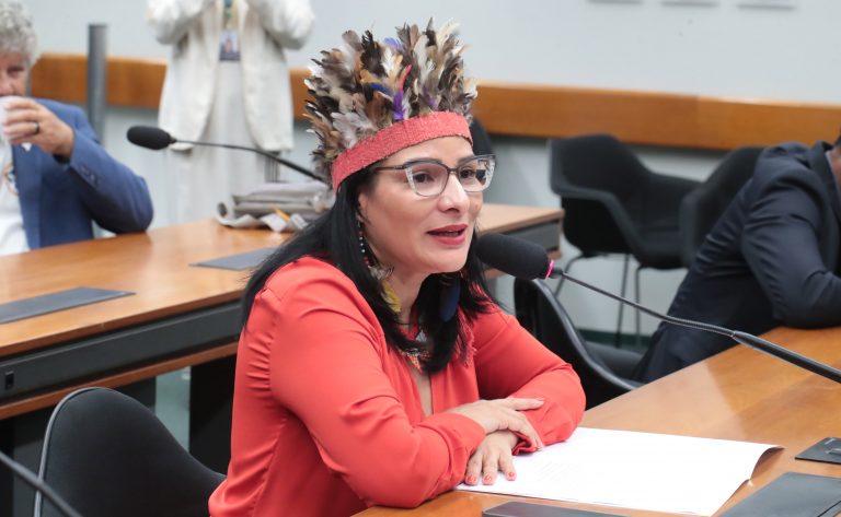 Reunião de Instalação e Eleição. Dep. Juliana Cardoso (PT - SP)