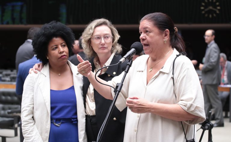 Discussão e votação de propostas legislativas. Dep. Laura Carneiro (PSD - RJ)
