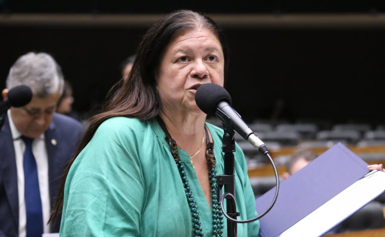 Deputada Laura Carneiro (PSD-RJ) fala no Plenário da Câmara dos Deputados