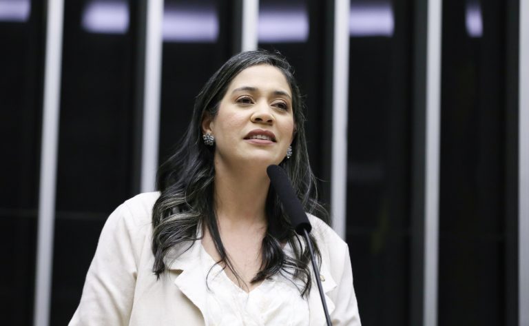 Discussão e votação de propostas legislativas. Dep. Iza Arruda (MDB-PE)