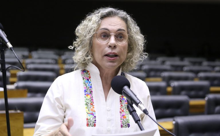 Deputada Ana Paula Lima (PL-SC) fala no Plenário da Câmara dos Deputados