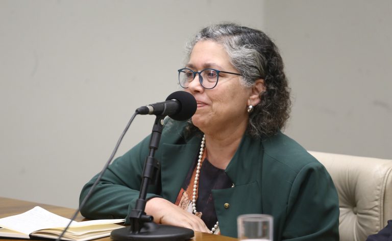 Seminário formativo sobre a COP-30. Coordenadora de Políticas Públicas do Observatório do Clima, Suely Araújo