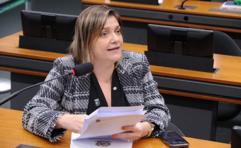 Deputada Professora Luciene Cavalcante (Psol-SP) fala em comissão da Câmara dos Deputados