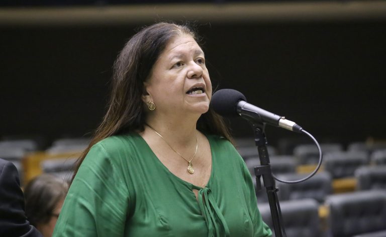 Deputada Laura Carneiro (PSD-RJ) fala no Plenário da Câmara dos Deputados