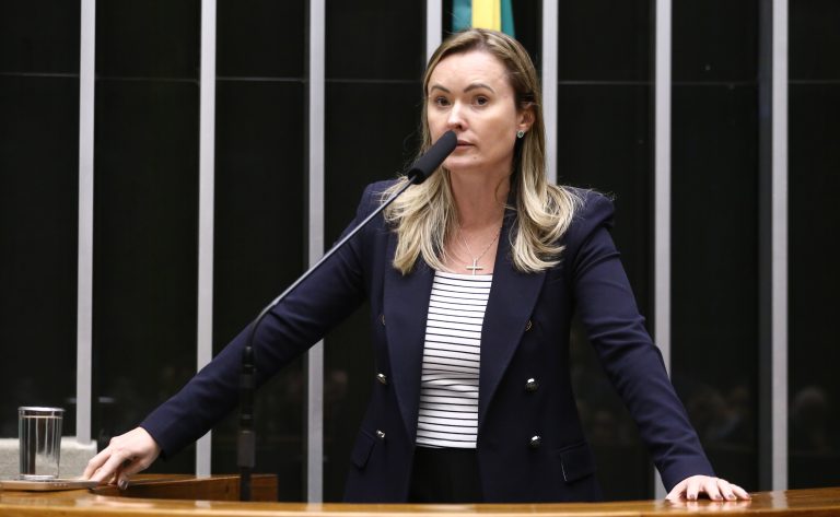 Deputada Julia Zanatta (PL-SC) fala no Plenário da Câmara dos Deputados