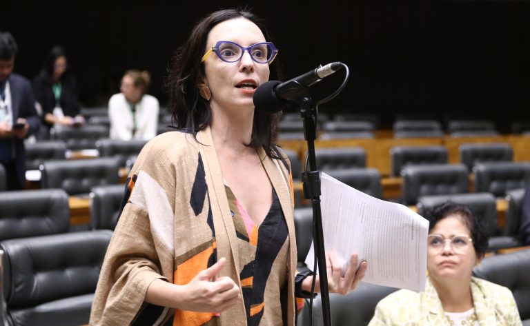 Discussão e votação de propostas legislativas. Dep. Ana Pimentel (PT-MG)