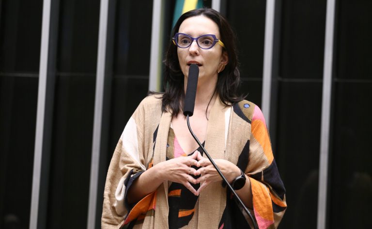 Deputada Ana Pimentel (PT-MG) fala no Plenário da Câmara dos Deputados