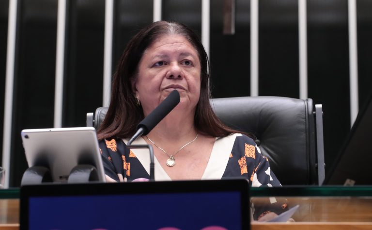 Discussão e votação de propostas legislativas. Dep. Laura Carneiro (PSD-RJ)