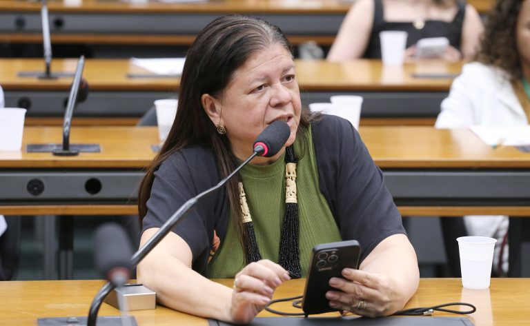 Deputada Laura Carneiro fala ao microfone.