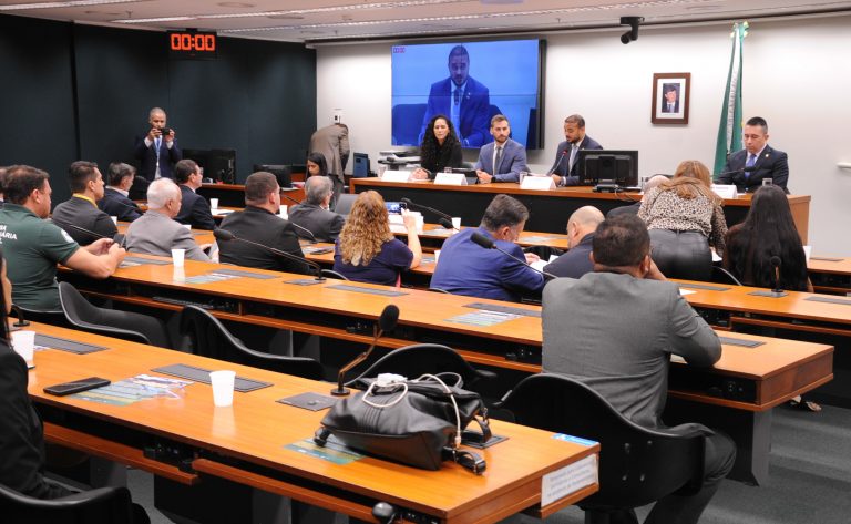 Audiência Pública - Debater o PL 4.631, Estatuto do Desarmamento.