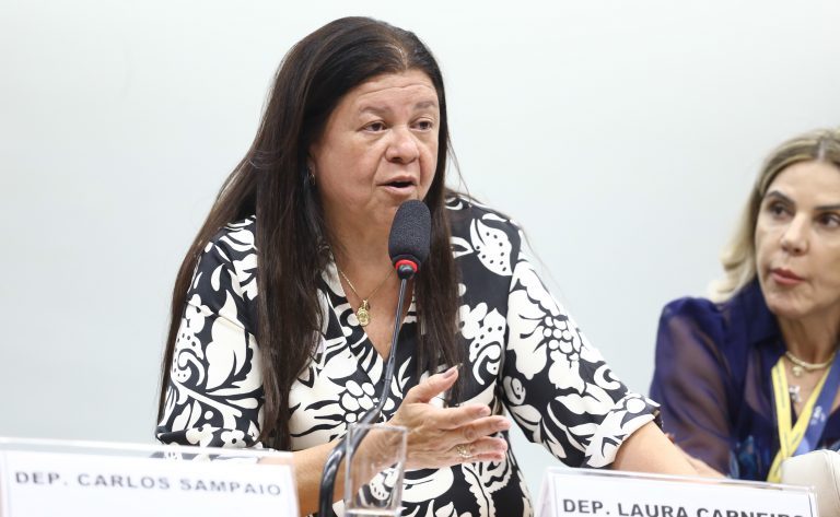 Audiência Pública - Segurança Viária e a necessidade de atualização do Código de Trânsito Brasileiro. Dep. Laura Carneiro (PSD - RJ)