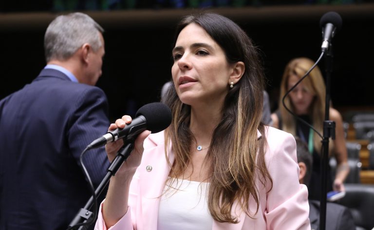 Deputada Any Ortiz fala ao microfone