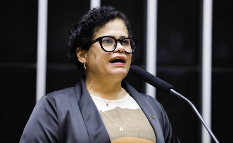 Discussão e votação de propostas legislativas. Dep. Elisangela Araujo (PT - BA)