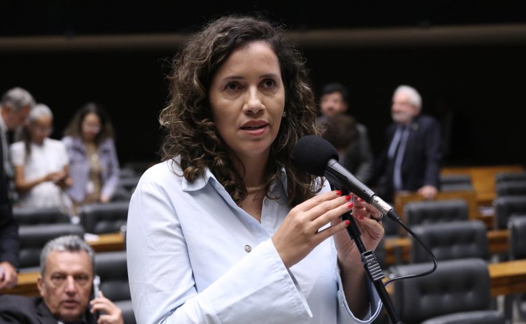 Discussão e votação de propostas legislativas. Dep. Denise Pessôa (PT-RS)
