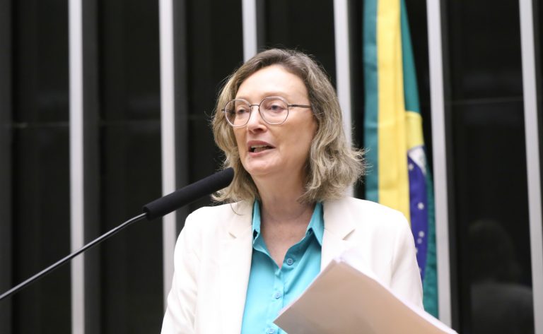 Comissão Geral sobre o Feminicídio. Dep. Maria do Rosário (PT - RS)
