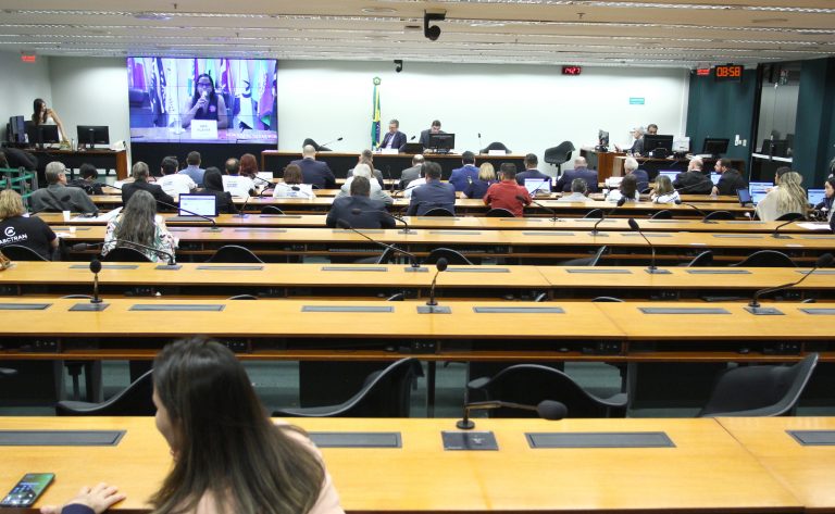 Audiência Pública - Redução da idade mínima para obtenção da primeira habilitação. Dep. Fausto Pinato (PP - SP)