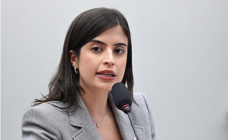 Instalação e apresentação do Plano de Trabalho. Dep. Tabata Amaral (PSB - SP)