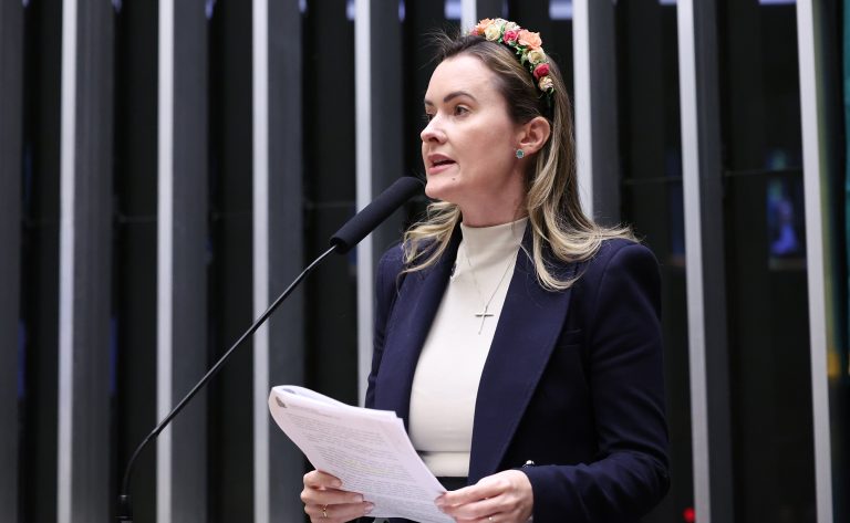 Discussão e votação de propostas legislativas. Dep. Julia Zanatta (PL-SC)
