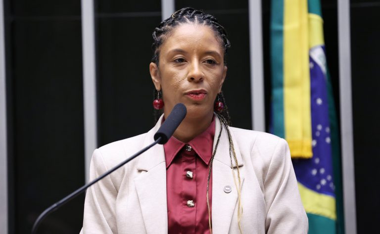 Homenagem aos 30 anos da CONAQ. Ministra de Estado da Igualdade Racial, Rachel Barros.