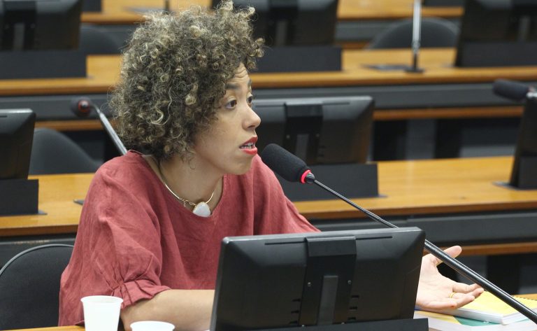 Discussão e votação de propostas legislativas. Dep. Talíria Petrone (PSOL - RJ)