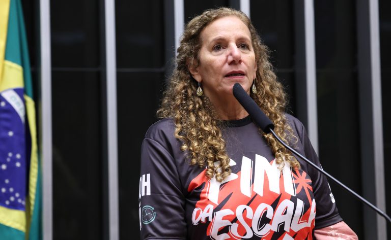 Discussão e Votação de propostas legislativas. Dep. Jandira Feghali (PCdoB - RJ)