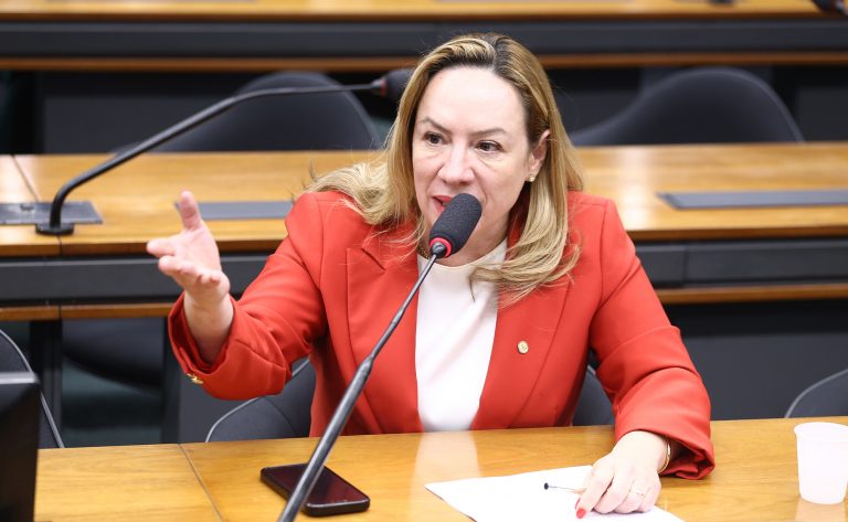 Deputada Delegada Adriana Accorsi (PT-GO) fala em comissão da Câmara dos Deputados