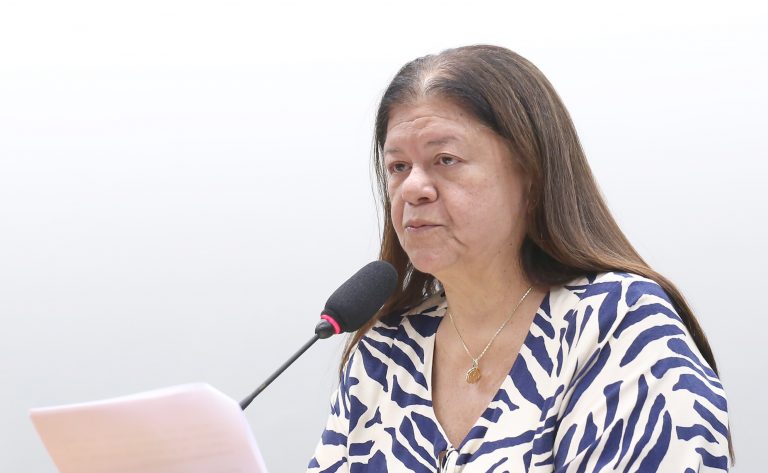 Deputada Laura Carneiro (PSD-RJ) em comissão da Câmara dos Deputados