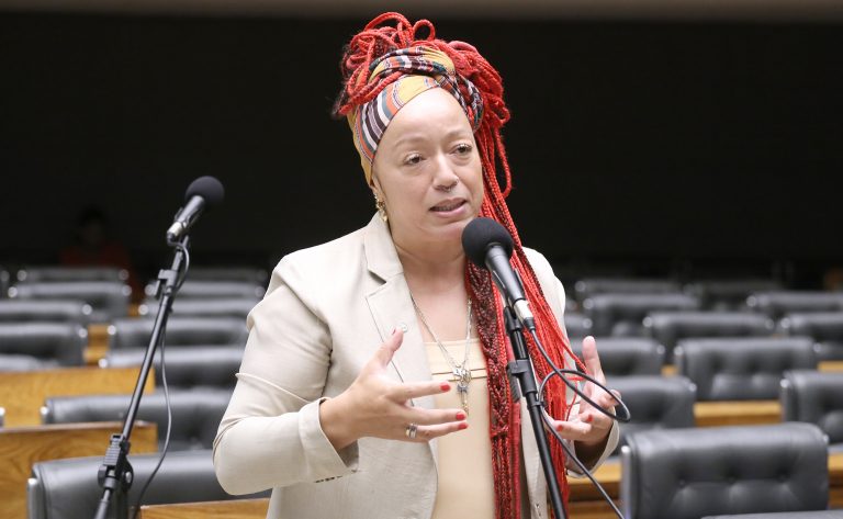 Discussão e votação de propostas legislativas. Dep. Daiana Santos (PCdoB - RS)