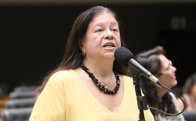 Comissão Geral sobre o Feminicídio. Dep. Laura Carneiro (PSD - RJ)