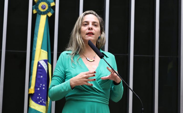 Discussão e votação de propostas legislativas. Dep. Fernanda Melchionna (PSOL-RS)