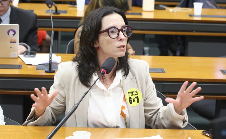 Deputada Ana Pimentel fala ao microfone