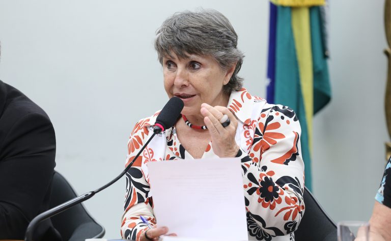 Deputada Erika Kokay (PT-DF) fala em comissão da Câmara dos Deputados