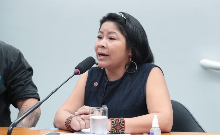 Audiência Pública - Plano Nacional de Cultura dos Povos Indígenas. Secretária de Articulação e Promoção de Direitos Indígenas, Giovana Cruz.
