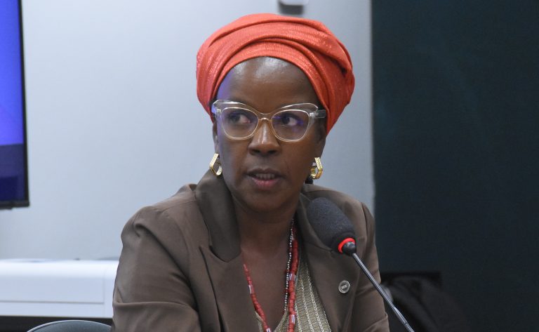 Audiência Pública - Intolerância religiosa contra povos e comunidades tradicionais de matrizes africanas e de terreiros. Ministério da Igualdade Racial, Luzineide Miranda Borges.