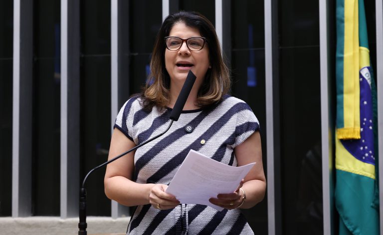 Discussão e votação de propostas legislativa. Dep. Carla Dickson (PL-RN)